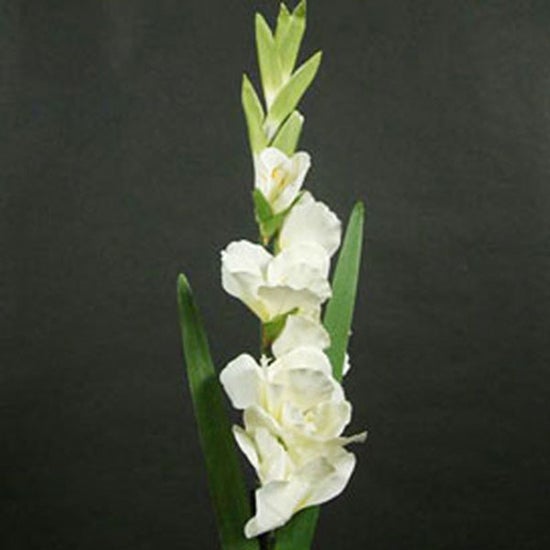 Artificial Cream Gladiolus Flower Stem Dunelm
