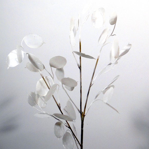 Artificial Cream Honesty Flower Spray Dunelm