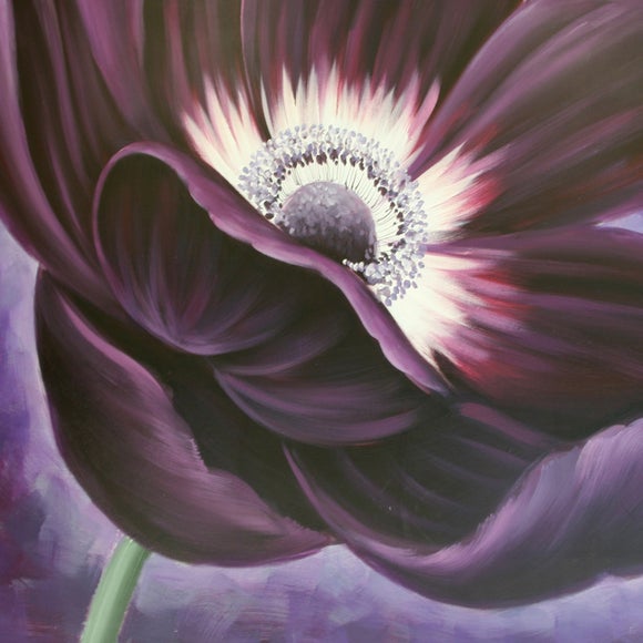 Purple Large Passion Flower Canvas