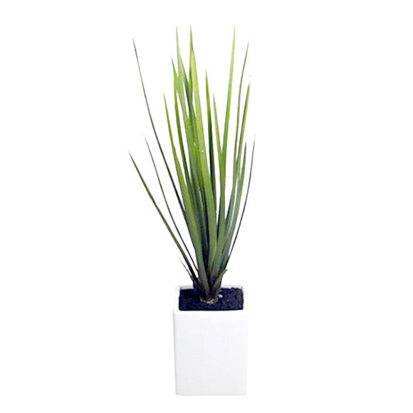 Artificial Grass in a Ceramic Vase