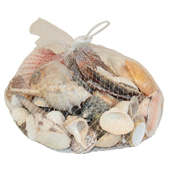 Coastal Collection Decorative Shells