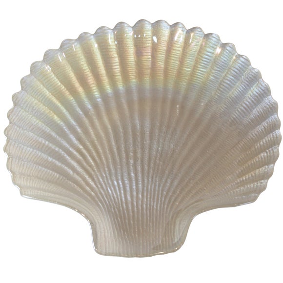 Coastal Collection Pearlised Scallop Shell Dish