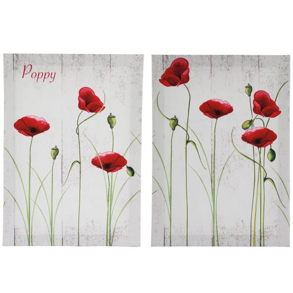 Set of 2 Poppy Canvas Prints