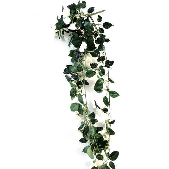 Wedding Collection Trailing Mini Rose Bush