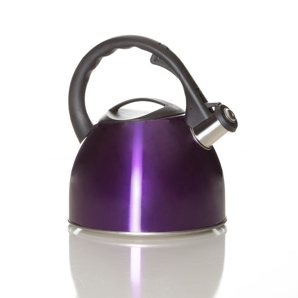 Purple Spectrum Collection Stove Top Kettle