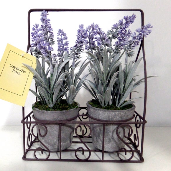 Set of 2 Lavender Pots in Wire Crate Dunelm