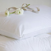 Dorma Pillows